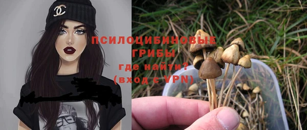 ПСИЛОЦИБИНОВЫЕ ГРИБЫ Белокуриха