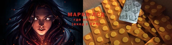 ПСИЛОЦИБИНОВЫЕ ГРИБЫ Белокуриха